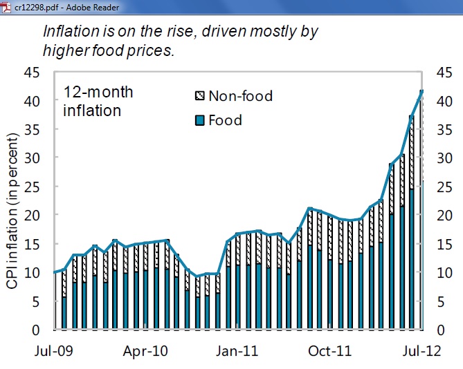 √ Imf Sudan Inflation Navy Visual