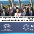 At the APEC summit in November 2011 we find in the Honolulu declaration under “Promoting green growth”: We will also take the following steps to promote our green growth goals: […]